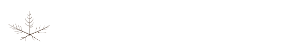  Jan Kauer  - Parkett und Solartechnik 